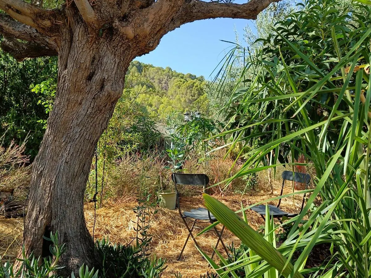 Casa Serenity Alora 0*,  Spain
