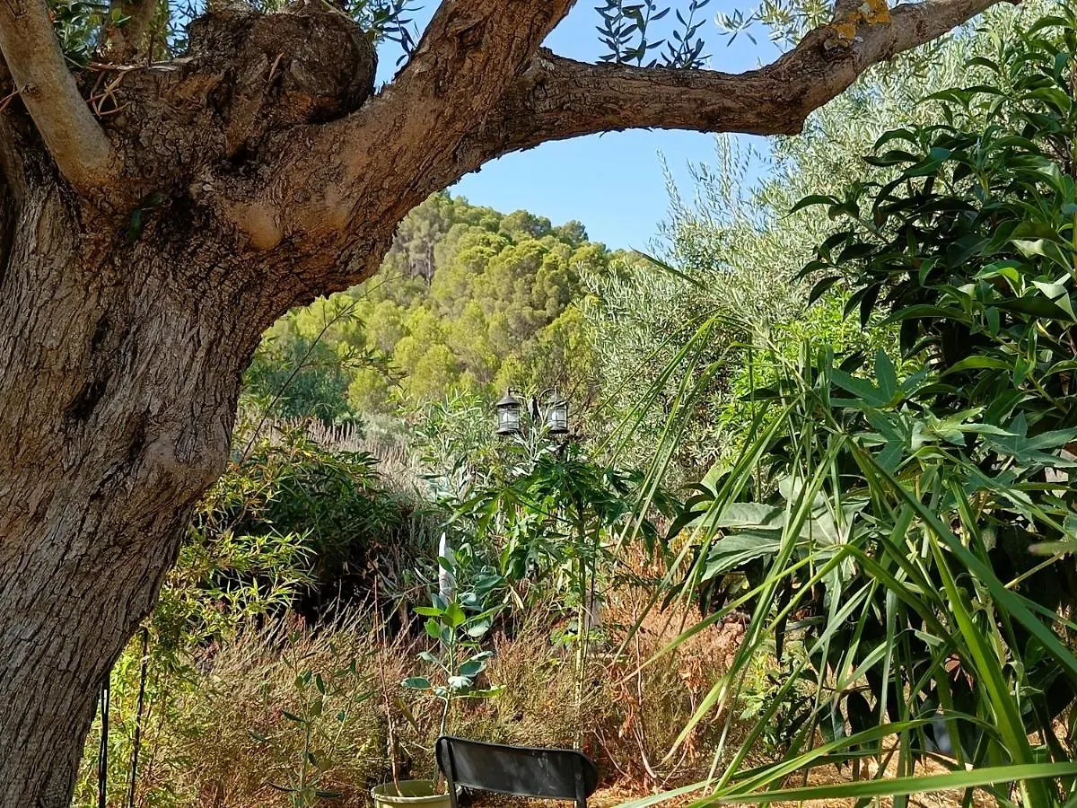 Casa Serenity Alora